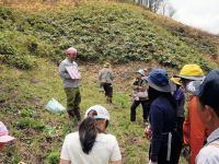 6日：自然観察会「サクラソウと蒜山の春」