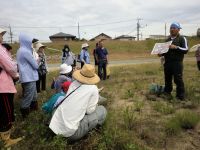 19日：「吉井川・ハマウツボと砂地の生き物観察会」ハマウツボの解説の様子