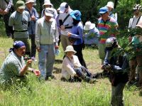 9日：植物園を楽しむ会87（“腐草”の季節を楽しむ）ノアザミの花についての解説中