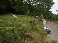 6日：新見市 希少植物自生地 保全活動