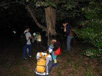 27日：「みんなでたんけん！夜の昆虫観察会」真っ暗な湿地エリアを懐中電灯の光を頼りに…