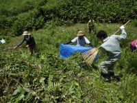 6日：「夏の草原保全活動 花咲く草原の夏草刈り」