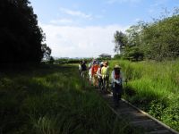 24日：植物園を楽しむ会89「夏草の中の秋を楽しむ」