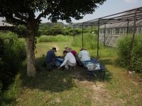 2日：陽ざしを避けて木陰で植替え作業をするボランティアさん