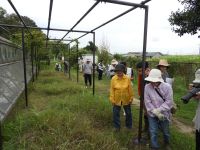 28日：植物園を楽しむ会90「秋空に咲くミズアオイを楽しむ」