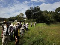 28日：植物園を楽しむ会90「秋空に咲くミズアオイを楽しむ」