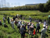 15日：自然史博物館友の会 ミズアオイ観察会（倉敷市加須山）