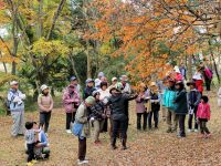 17日：植物園を楽しむ会92「もえいずる里山を楽しむ」（春まで葉が落ちない？ヤマコウバシについて解説中）