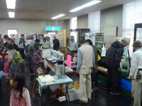 3日：第19回「11月3日は自然史博物館まつり」「山野草を楽しもう！出張！重井薬用植物園」コーナー