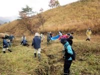 16日：「サクラソウを守ろう！秋の草原保全活動」（刈った草を寄せ、掘れ込んだ水路に詰め込む参加者）
