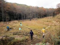 16日：津黒高原湿原 保全作業（真庭市蒜山下和）（湿原内の草刈り・刈草の持ち出し作業の様子）