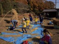 3日：イオン倉敷 チアーズクラブ（マスカット隊）来園  自分たちでなったワラ縄で長縄跳びに挑戦！