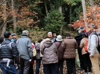 7日：植物園を楽しむ会93「凩の中の実りを楽しむ」　（ナンキンハゼの果実を見つけたので、解説中）