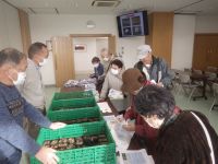 21日：しげい病院 文化講演会「植物園の帰化植物 ～招かれざる？植物園の仲間たち～」（来聴者にはフジバカマの苗などをプレゼント）