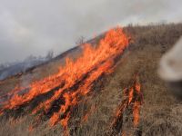 22日：真庭市蒜山地域 草原保全活動（山焼き）（開始からしばらくは順調に焼き進んでいたが…）