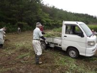 刈った草を軽トラに積み込む作業の様子