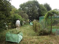 7日：刈った草を集めるボランティアの方々（猛暑が続き、ボランティア活動も最小限に。）