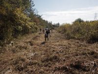 奥西坂園地 進入路・草集積地周辺 草寄せ（10/17イベント準備作業）