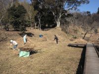 15日：湿地内部の草集めをするボランティアの方々（冬の間に草刈り・草の持ち出しを行うことで、春には緑一色の湿原となります。）