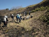 活動終了後はサクラソウの芽生えを観察