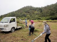 草を集めて、軽トラに積んで区画外に持ち出しました