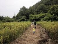 子供たちは周辺の草むらで探検＆虫とり！