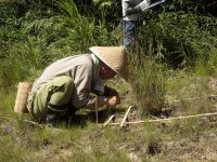 炎天下での調査ですが、植物園ボランティアさんが記録を手伝ってくれましたので、早く終わりました