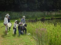 温室エリアの池の岸で。何を捕まえたかな？