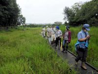 18日：植物園ボランティア 園内研修会（ボランティアの方々からの要望で、園内の植物についての研修会を開催しました。管理上の注意点などについて、少し重点的に説明しました）