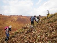 斜面の上まで登ると、草原の雄大なパノラマが広がっていました