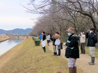 今年は初めて、野鳥の観察を行いました。ヒドリガモの群れや、カワセミに出会うことができました