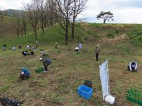 サクラソウ観察会の後、午後からは植物園で育てたユウスゲ苗の移植を行いました。