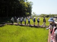 アサヒ観光「野山の植物を楽しむ」ツアー 見学