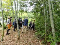 手入れされ、明るい場所には、かぶれるヤマウルシなども生えてきます