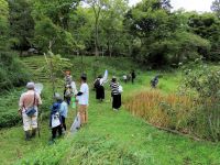 湿地エリアのショウブ池周辺は、トンボもいますが、カマキリもたくさんいるポイントです