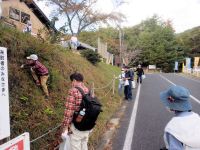 今年で7回目となる、総社市主催の外来植物駆除活動に講師として参加しました。