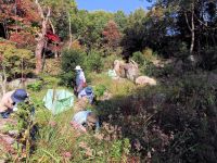 4日：湿地エリア奥広場水路 手刈り作業（例年であればもう少し冬枯れが進んでいるのですが、今年はずいぶん花が残っているものが多い印象）