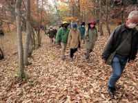 落ち葉のじゅうたんを踏みしめて、園内の里山の植物を観察しました