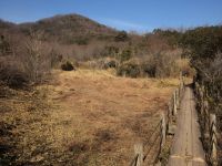 次の週に実施予定の湿地保全活動の準備で、湿地内部の草刈りを行いました。