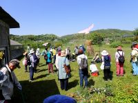 先月の楽しむ会は、雨でしたが今回は晴天！ まずは足元のタンポポ類の解説から。