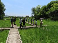 同じ瀬戸内沿岸で、共通した植物や環境も多いですが、異なる点も多いことを再認識していただけたようです