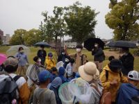 時折雨もぱらぱらする中での観察会となりましたが、90人を近い参加者がありました