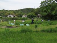 この時期に草刈りをすることで、7月にユウスゲのお花畑が出現します。ボランティアさんがいないとできない作業です