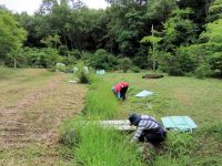 9日：湿地エリア奥広場の水路の草刈りの様子（石があって刈払機では刈りにくい場所のため、植物園ボランティアの方々に手刈りをしてもらっています）