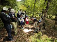 倉敷昆虫同好会の末長氏による昆虫の解説中