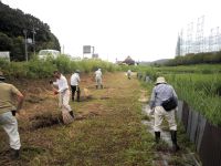 8月末に草刈りした草を寄せて、観察会の準備をしました