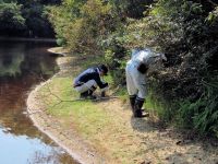 少雨による渇水のため、例年になく湿地下流のため池の水位が下がり、岸を歩けるようになっていましたが…