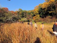 天気も良く、リンドウやマルバノキなど、秋の花々を楽しんでいただくことができました