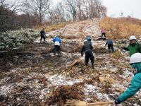 雪かきではありません？ 薄く積雪した斜面で草を寄せ集める参加者