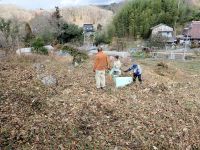 毎年、植物園ボランティアさんとともに行っている活動ですが、今年は落葉完了を待っていたら年の瀬の実施になりました